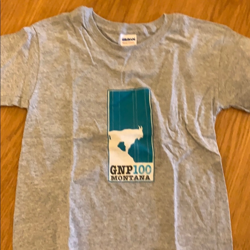 Youth Glacier National Park 100 Montana grey shirt